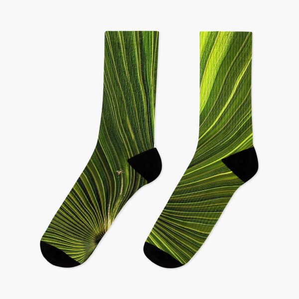 Item preview, Cabbage Tree Palm designed and sold by JillyBeanDesign.
