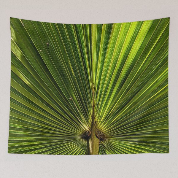Item preview, Cabbage Tree Palm designed and sold by JillyBeanDesign.