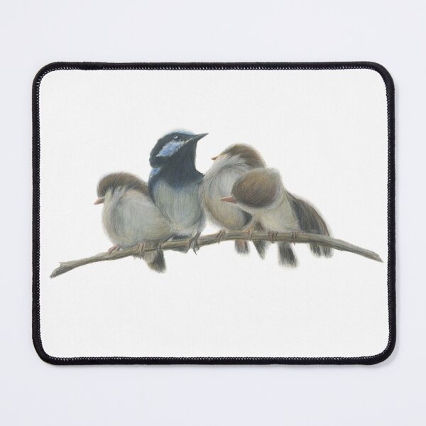 Item preview, Superb blue fairy wren family. Beautiful drawing of these gorgeous, fun little Australian birds! designed and sold by RachaelCurryArt.