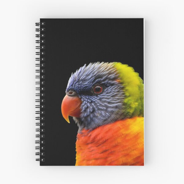 Item preview, Lorikeet designed and sold by Apatche Revealed.