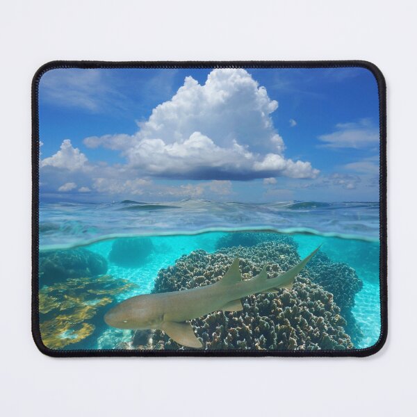 Item preview, Tropical seascape cloud corals and shark Caribbean designed and sold by Seaphotoart.