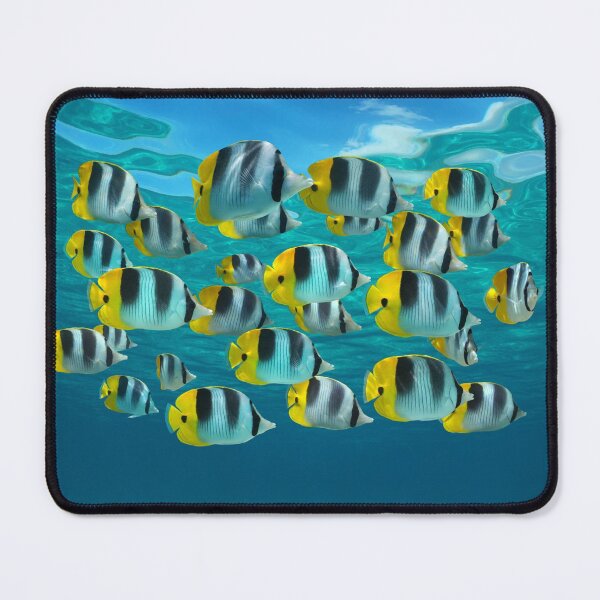 Item preview, School of colorful tropical fish Pacific ocean designed and sold by Seaphotoart.