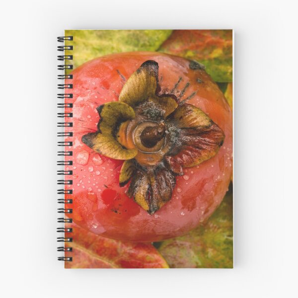 Item preview, Persimmon designed and sold by Randy Turnbow.