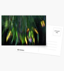 Reflection In The Pond Postcards