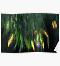Reflection In The Pond Poster