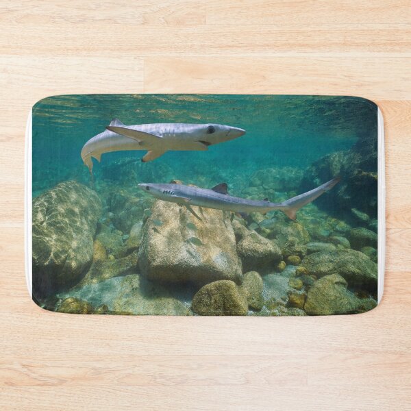 Item preview, Young blue sharks underwater Prionace glauca Atlantic ocean designed and sold by Seaphotoart.