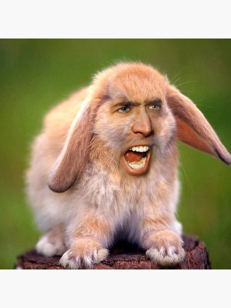 Nicolas Cage/Rabbit by Balzac