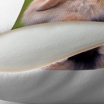 Alternate view of Nicolas Cage/Rabbit Throw Pillow