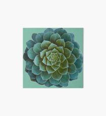 Succulent Art Board