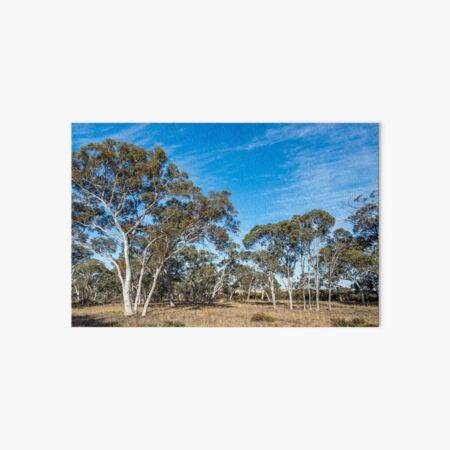 Item preview, Australia Bush Land designed and sold by Dean Bailey.