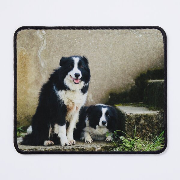 Item preview, Teddy and Fly designed and sold by thegreendogs.