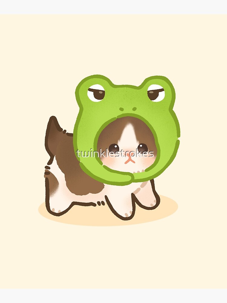 3 frog cats pfp｜TikTok Search