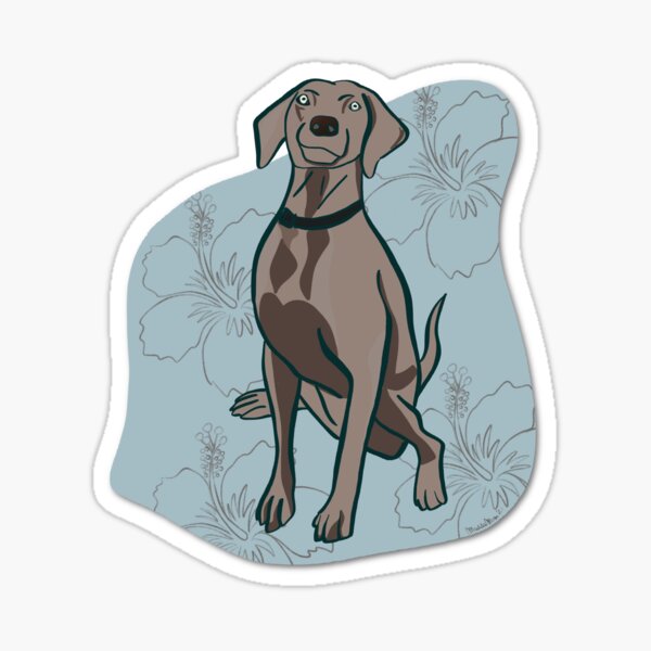 A happy Weimaraner dog with Hawaiian mood background Sticker