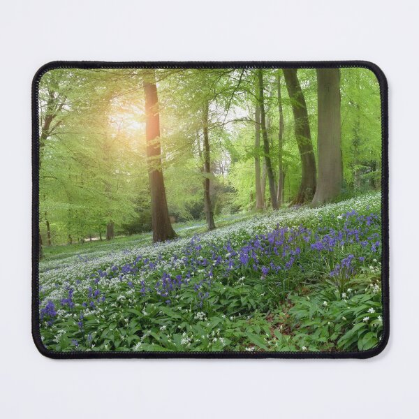 Item preview, Batsford Arboretum, Gloucestershire designed and sold by andrewroland.