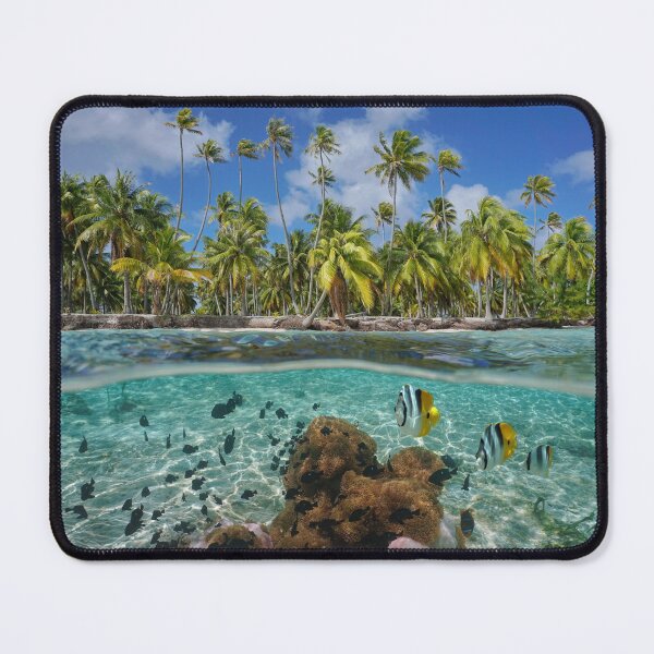 Item preview, Tropical coast sea anemones and fish underwater designed and sold by Seaphotoart.