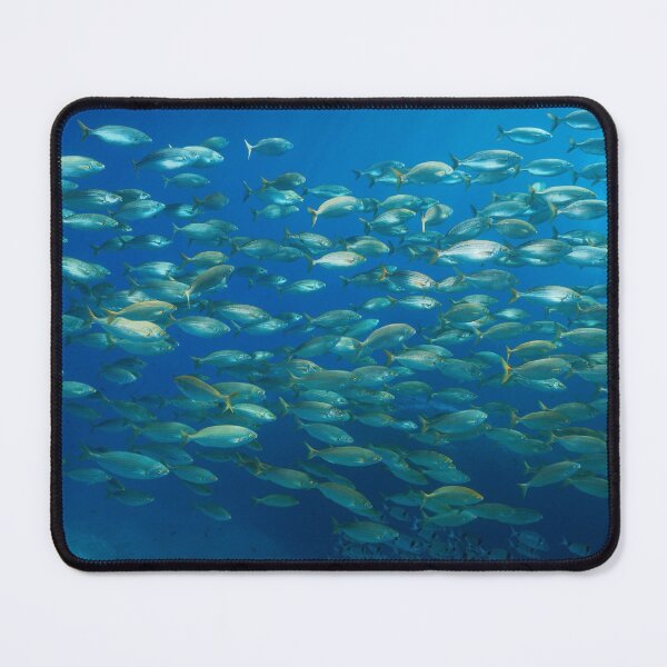 Item preview, School of fish underwater in the Mediterranean sea designed and sold by Seaphotoart.