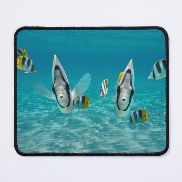Item preview, Cute tropical fish butterflyfish designed and sold by Seaphotoart.