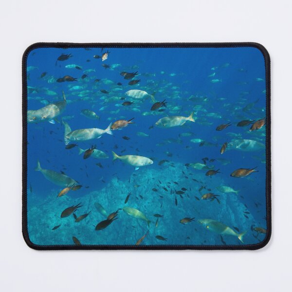 Item preview, Shoal of fishes underwater in Mediterranean sea designed and sold by Seaphotoart.