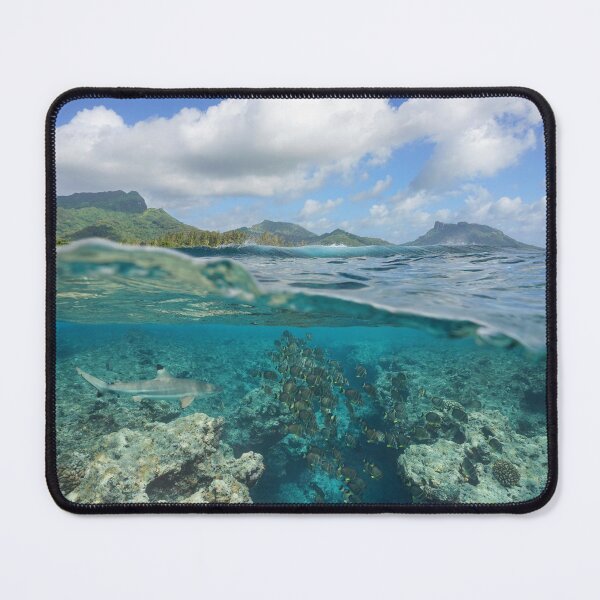 Item preview, fish with shark on reef with island Pacific ocean designed and sold by Seaphotoart.