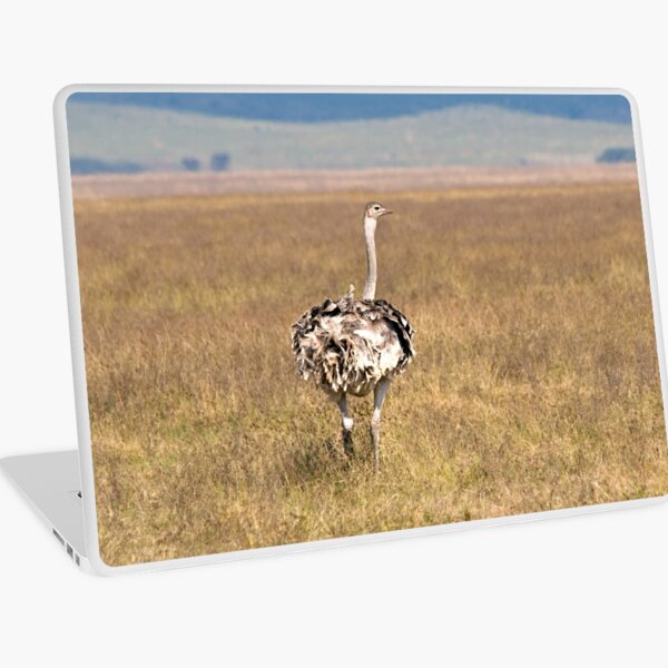 Female Ostrich Laptop Skin