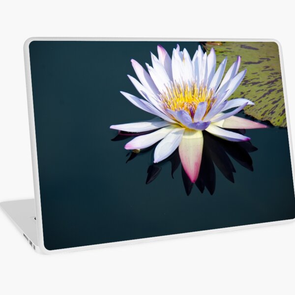 The Water Lily Laptop Skin