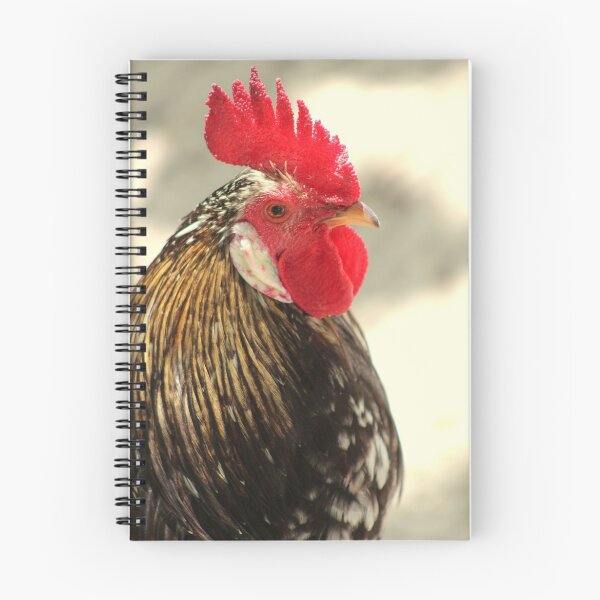 Item preview, Rooster designed and sold by anitahiltz.