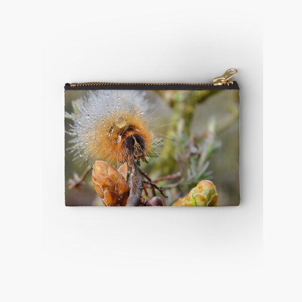 Item preview, Dewy Caterpillar designed and sold by relayer51.