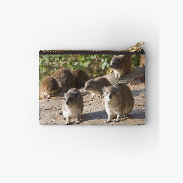 Item preview, Rock Hyraxes designed and sold by Valerija S.  Vlasov.