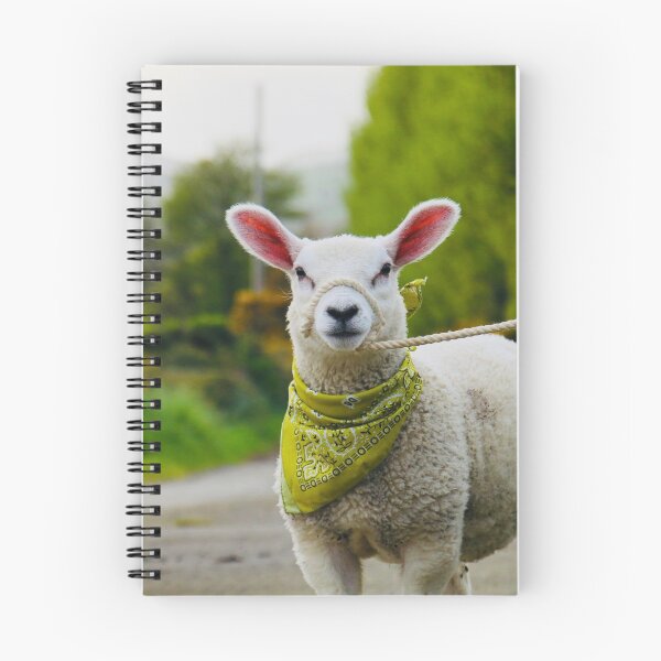 Item preview, Olive the Pet Lamb designed and sold by thegreendogs.