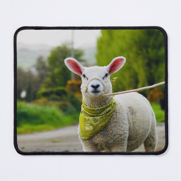 Item preview, Olive the Pet Lamb designed and sold by thegreendogs.
