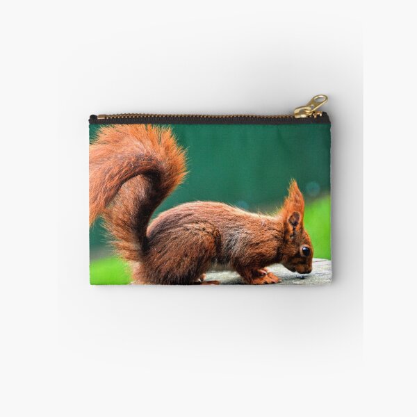 Artikelvorschau, Red Squirrel At Escot Park, Devon UK entworfen und verkauft von lynn carter.