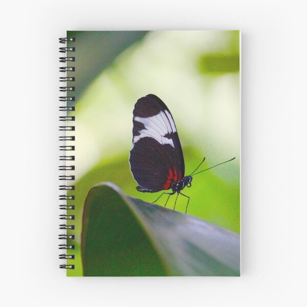 Item preview, butterfly  designed and sold by Beth Tidd.