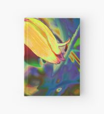 Funky is Fun II Hardcover Journal
