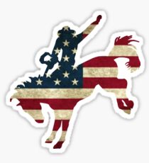 USA Bucking Broco Sticker