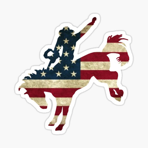 USA Bucking Broco Sticker