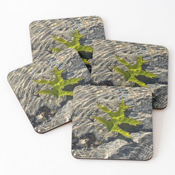 Item preview, Submerged Beauty - Sunny Rainbows and a Jade Green Oak Leaf designed and sold by Georgia Mizuleva.
