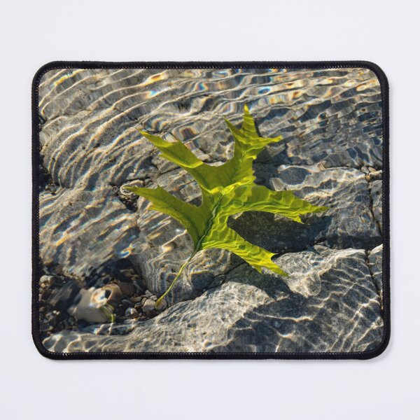 Item preview, Submerged Beauty - Sunny Rainbows and a Jade Green Oak Leaf designed and sold by Georgia Mizuleva.