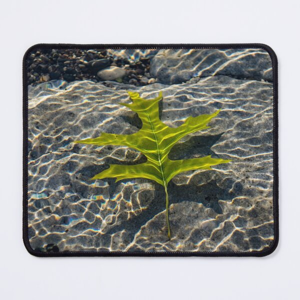 Item preview, Submerged Beauty - Rainbow Ripples and a Jade Green Oak Leaf designed and sold by Georgia Mizuleva.