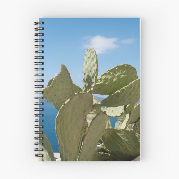 Item preview, Santorini Cacti Dream #2 #minimal #wall #decor #art designed and sold by Anita's & Bella's Art.