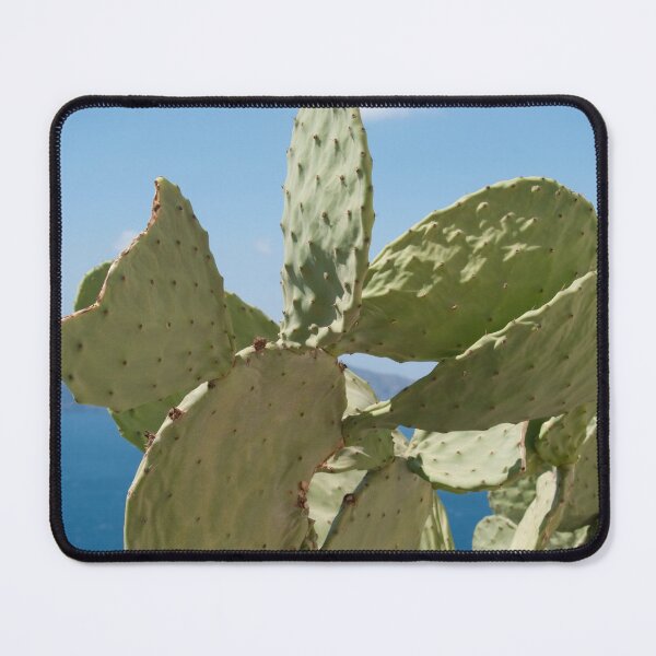 Item preview, Santorini Cacti Dream #2 #minimal #wall #decor #art designed and sold by Anita's & Bella's Art.