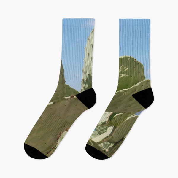 Item preview, Santorini Cacti Dream #2 #minimal #wall #decor #art designed and sold by Anita's & Bella's Art.