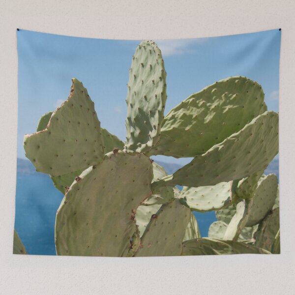 Item preview, Santorini Cacti Dream #2 #minimal #wall #decor #art designed and sold by Anita's & Bella's Art.