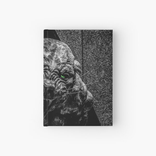 panthers Hardcover Journal
