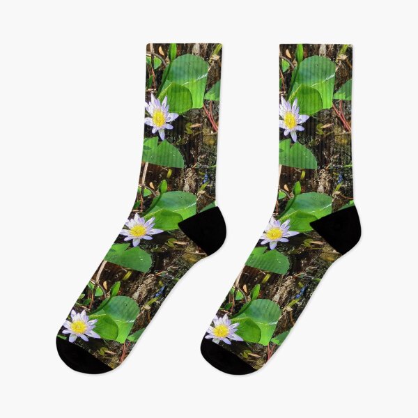 Item preview, Water Lillies of Harry’s Hut. designed and sold by TraceyannR.