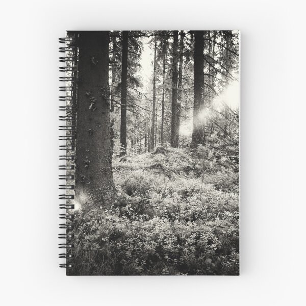 Item preview, The Forest in evening light BW IR designed and sold by Jouko Lehto Photography.