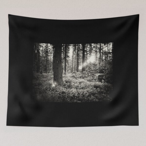 Item preview, The Forest in evening light BW IR designed and sold by Jouko Lehto Photography.