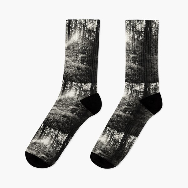 Item preview, The Forest in evening light BW IR designed and sold by Jouko Lehto Photography.