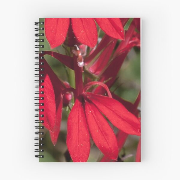 Item preview, Cardinal Flower designed and sold by Rebecca Bryson.