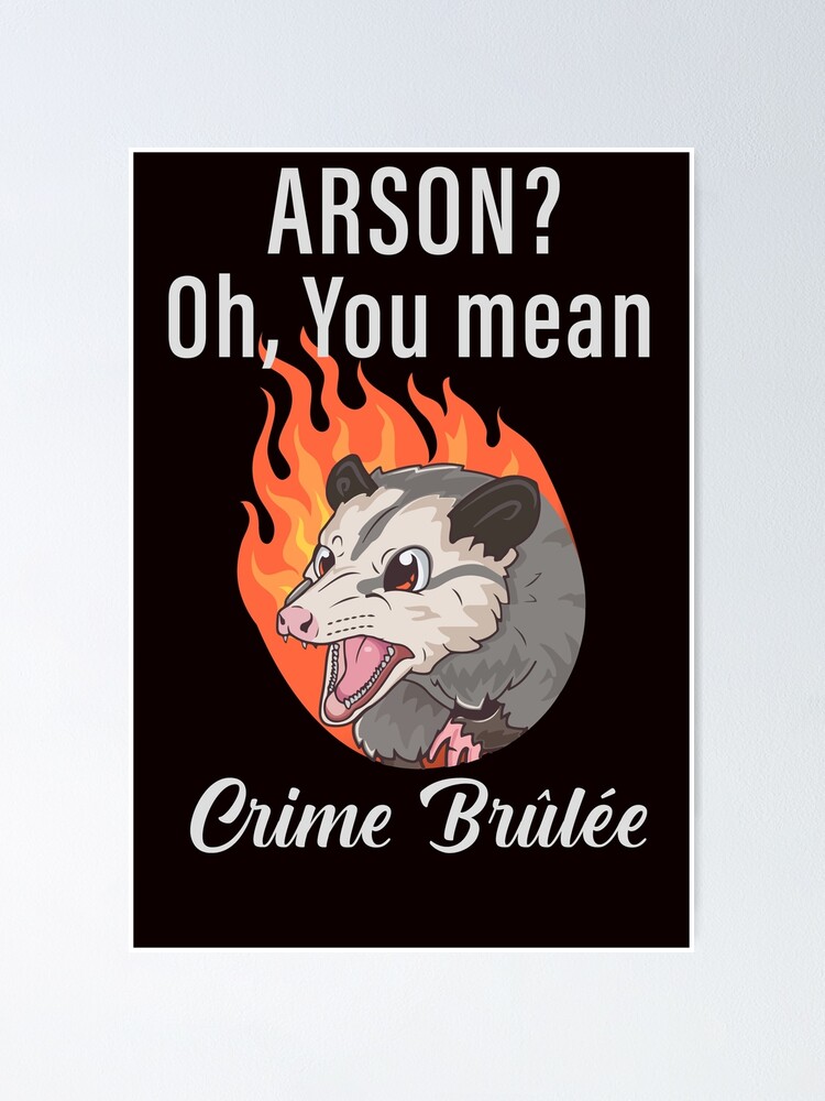 Arson meaning