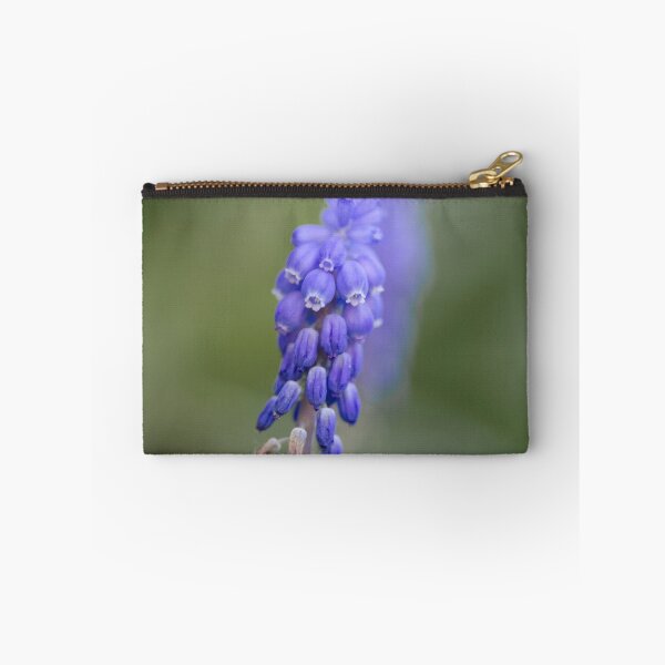 Item preview, Grape Hyacinth designed and sold by StephenJSmith.